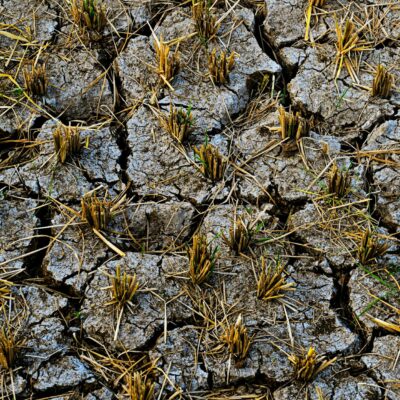 Crise Climática e o Preço dos Alimentos: Entenda o Impacto Direto no Seu Bolso — como as mudanças climáticas estão afetando o