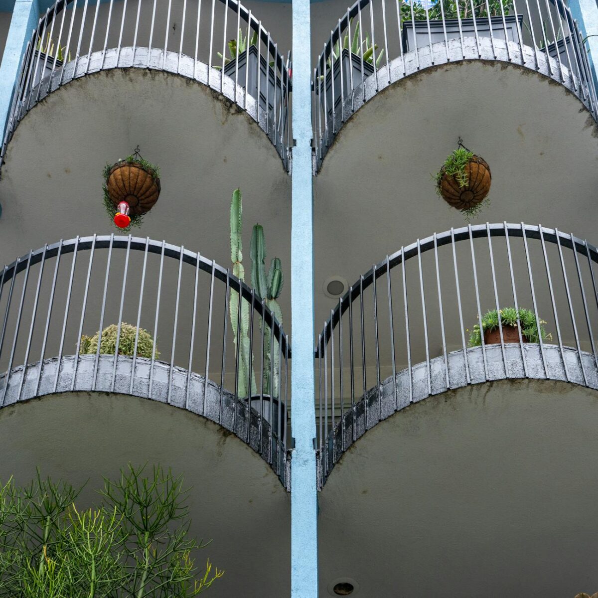 Jardim Vertical em Varanda de Apartamento: O Guia Completo para Criar o Seu — como fazer um jardim vertical em varanda de apa