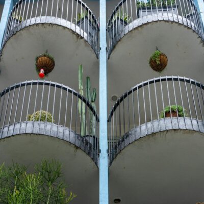 Jardim Vertical em Varanda de Apartamento: O Guia Completo para Criar o Seu — como fazer um jardim vertical em varanda de apa