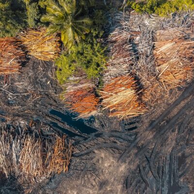 Desmatamento na Amazônia e Chuvas no Sudeste: A Conexão Crítica para o Futuro Hídrico — impactos do desmatamento na amazônia