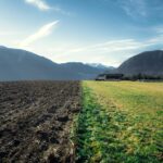 Agricultura Regenerativa: O Guia Definitivo Sobre sua Importância e Benefícios para um Futuro Sustentável — o que é agricultu