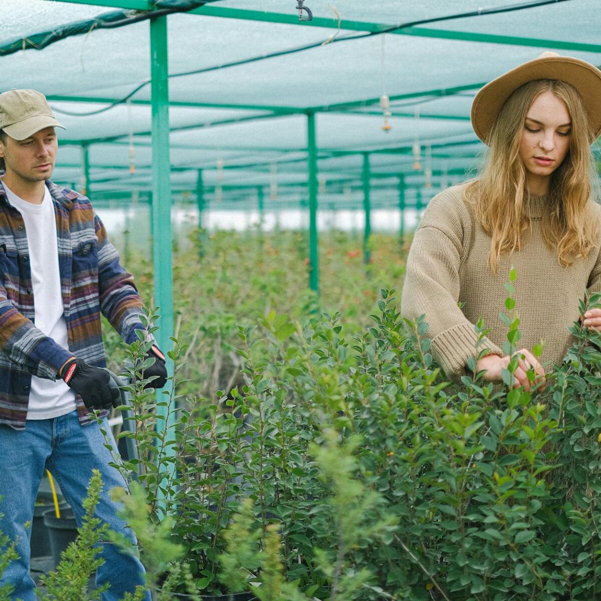 Sustentabilidade em Alta: As Profissões Verdes que Definem o Futuro do Mercado — profissões em alta na área de sustentabilida