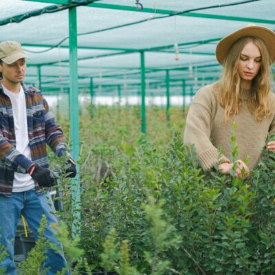 Sustentabilidade em Alta: As Profissões Verdes que Definem o Futuro do Mercado — profissões em alta na área de sustentabilida